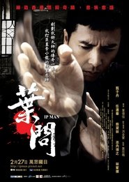 叶问 (2008)