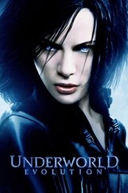 watch Underworld - Evolution now