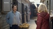Episode 36