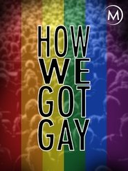 Poster How We Got Gay 2013