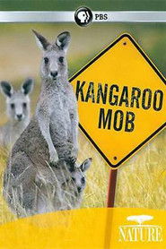 Kangaroo Mob (2011)