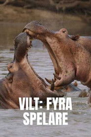 MongoDB.Entities.FuzzyString