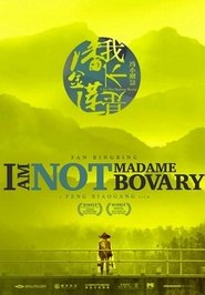 I Am Not Madame Bovary постер