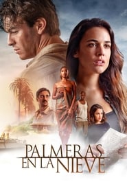 Palmeras en la nieve poster