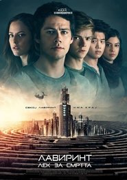 Лавиринт: Лек за смртта (2018)