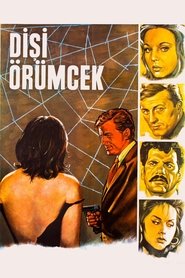 Poster Dişi Örümcek