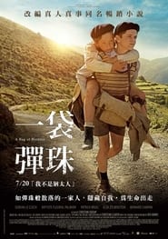 一袋弹子 (2017)