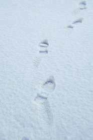 Poster Terza passeggiata - Sulla neve 2019