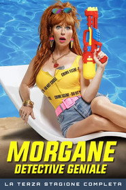 Locandina di Morgane - Detective geniale Stagione 3