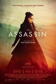 The Assassin [刺客聶隱娘]