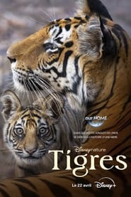 Poster Tiger