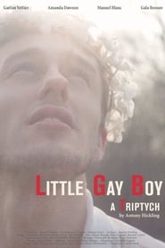 Little Gay Boy постер