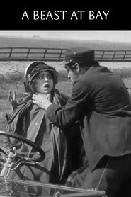 A Beast at Bay (1912)