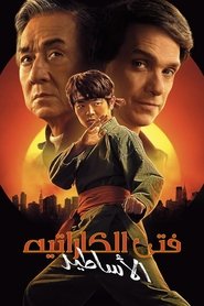 Karate Kid: Legends
