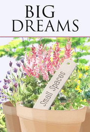 Poster Big Dreams Small Spaces - Season 2 Episode 6 : Billericay & Teddington 2017