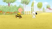 He’s Your Dog, Charlie Brown