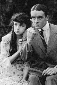 The Bad Boy 1917 Безплатен неограничен достъп