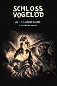 Schloß Vogelöd (1921)