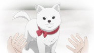 Kinoko Inu