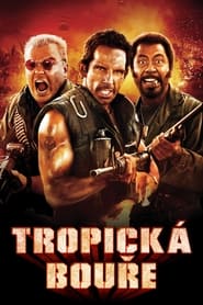 Tropická bouře (2008)