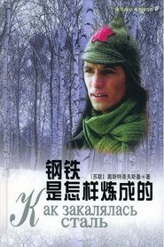 钢铁是怎样炼成的 (2000)