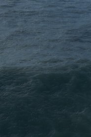 Poster Twenty Nine Minutes at Sea 2017
