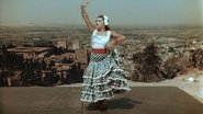 Flamenco flamenco