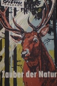 Poster Zauber der Natur 1956