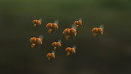 Gather more to pollinate more