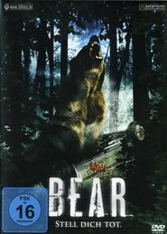 Poster Bear