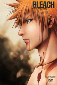 4 - The Bount Arc