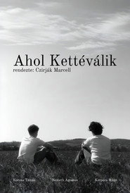 Ahol Kettéválik