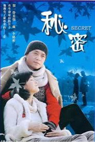 Affiche de 秘密
