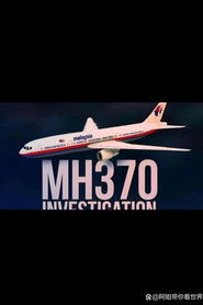 海底大搜索：马航370