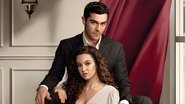 The Nightfall en streaming