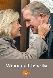 Poster Wenn es Liebe ist 2016