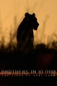 Image de Brothers in Blood: The Lions of Sabi Sand