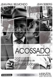 Acossado