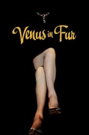 Poster Venus in Fur 2013