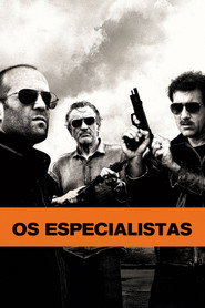 Assistir Os Especialistas online grátis