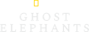 Ghost Elephants Logo