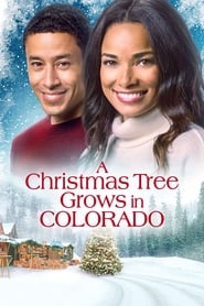 Poster A Christmas Tree Grows in Colorado