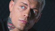 Cody Rhodes