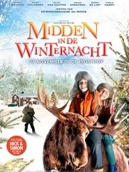 Midden in de Winternacht