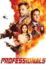 Professionals poster
