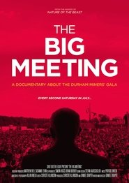 Poster The Big Meeting