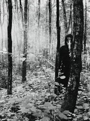 Visions of the Shadow Kingdom II