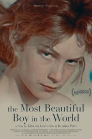 The Most Beautiful Boy in the World poster