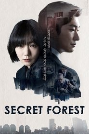 Stranger (Secret Forest)