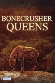 Poster Bonecrusher Queens